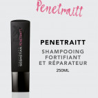 Shampooing Penetraitt 250ml