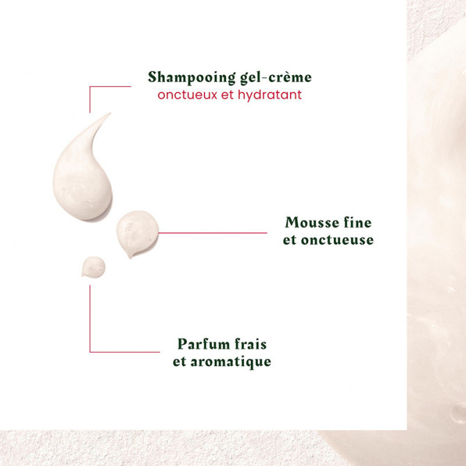 Shampooing Antipelliculaire Équilibrant