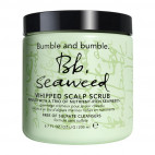 Seaweed Scalp Scrub