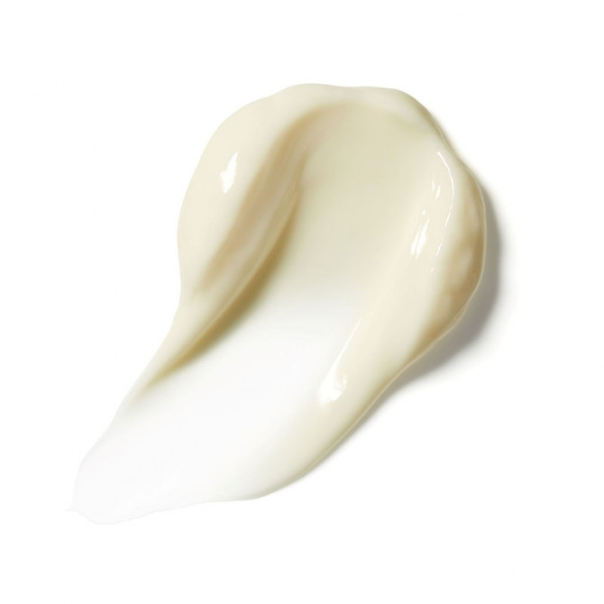Seal + Shield Curl Cream