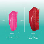 Brosse Thick Curly