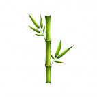 Gel Coiffant Bio au Bambou